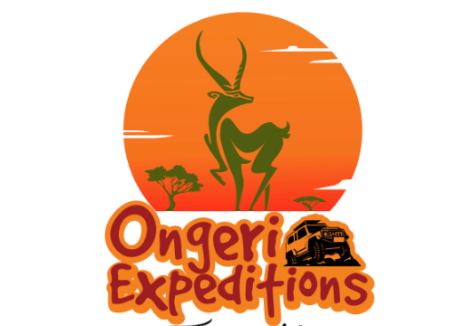 Ongeri Expeditions 